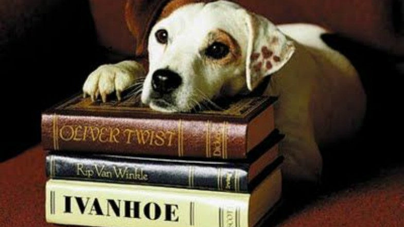 FriendshipCollar Does Summer Reading!