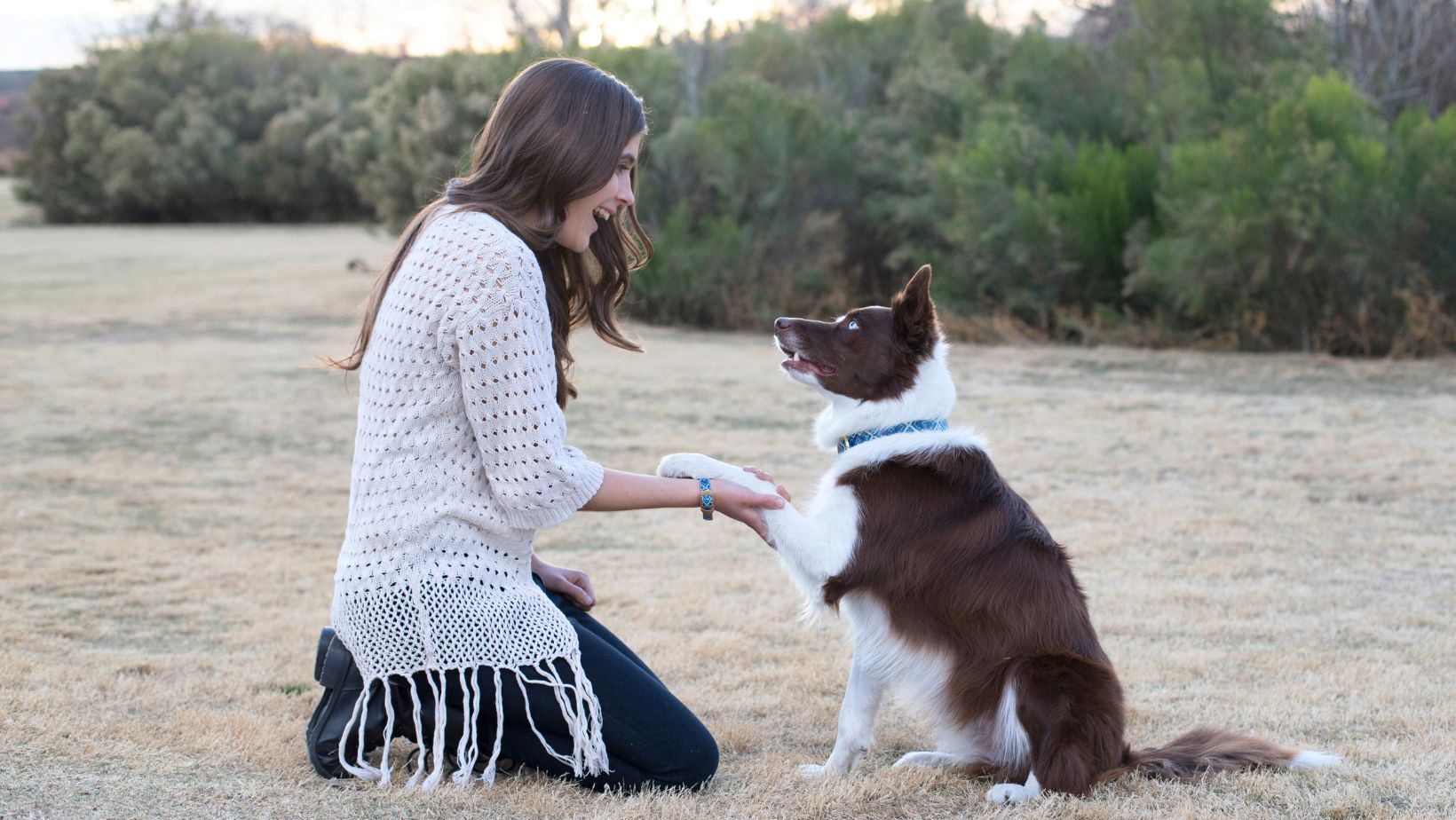 7 Fun Outdoor Activities for You and Your Dog