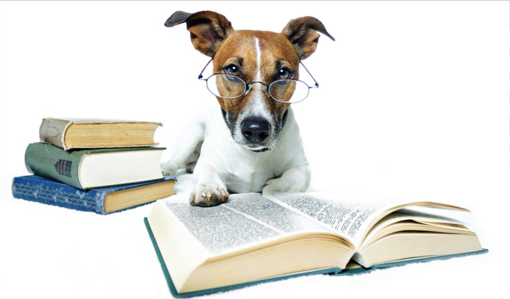 Bestie Breed Trivia