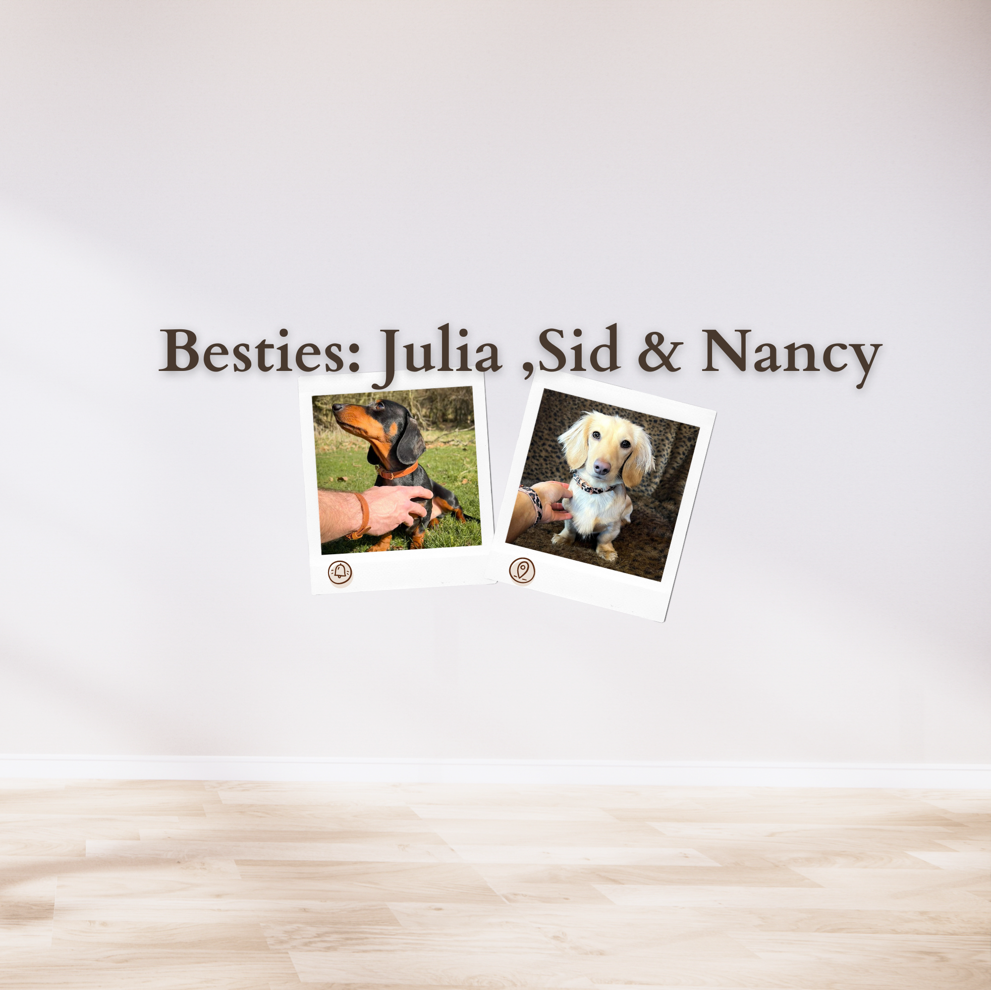 Besties: Julia, Sid & Nancy