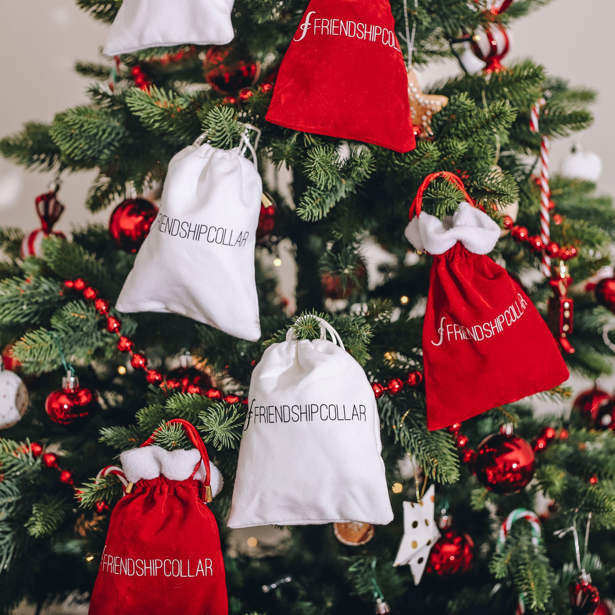 Christmas Activities for Dogs
