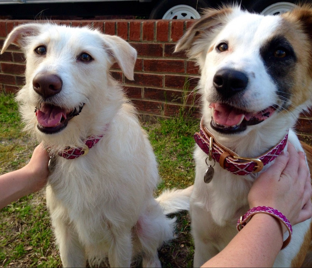 Kara, Dixie, & Piper