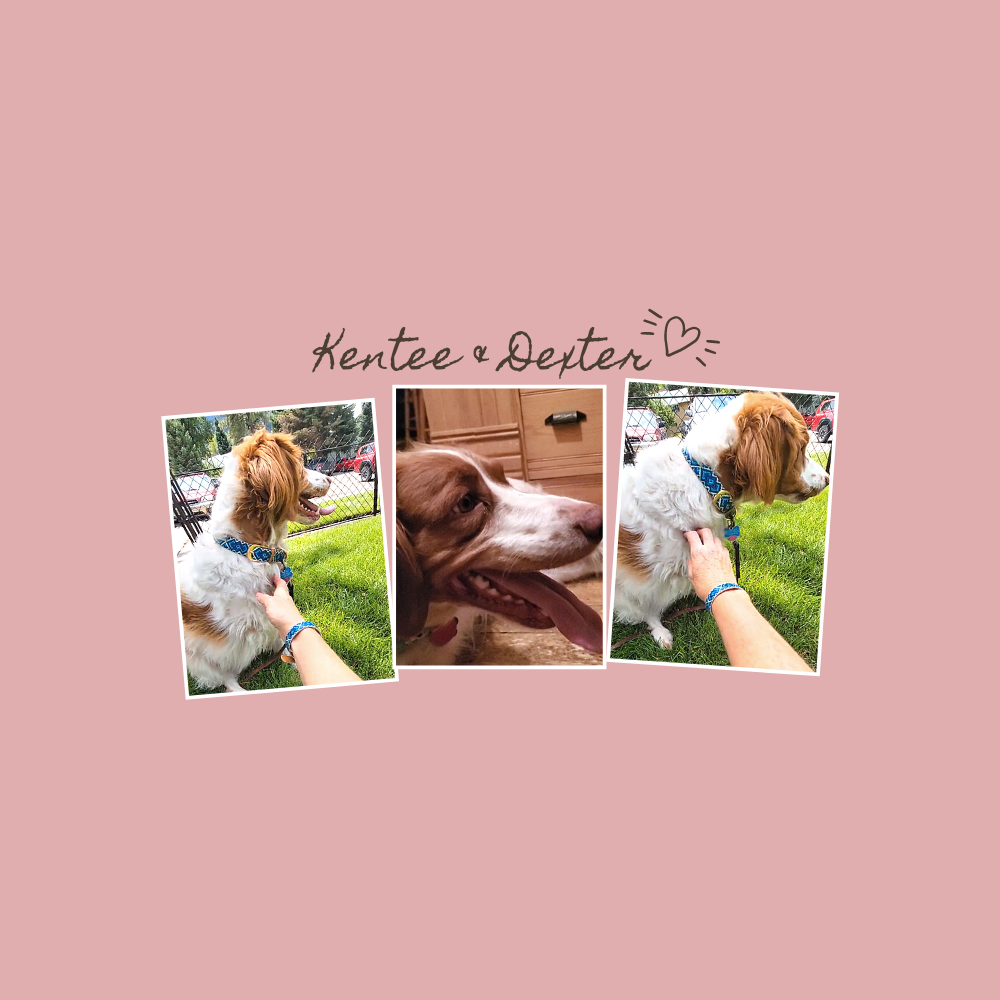 Best friends: Kentee & Dexter