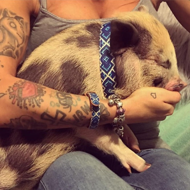 Carey, Kookie, & Piper