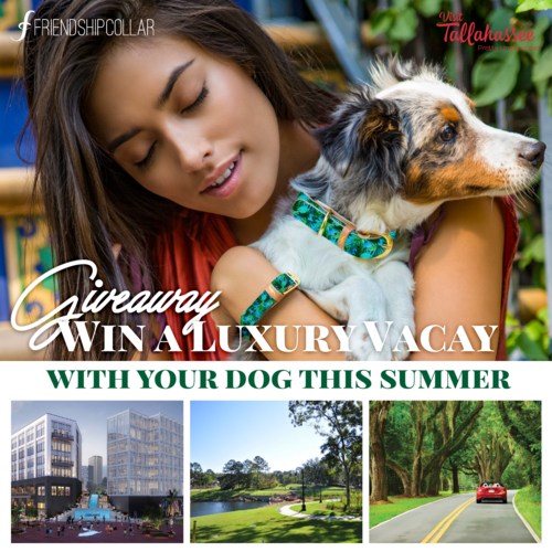 It’s our Summertime Giveaway!