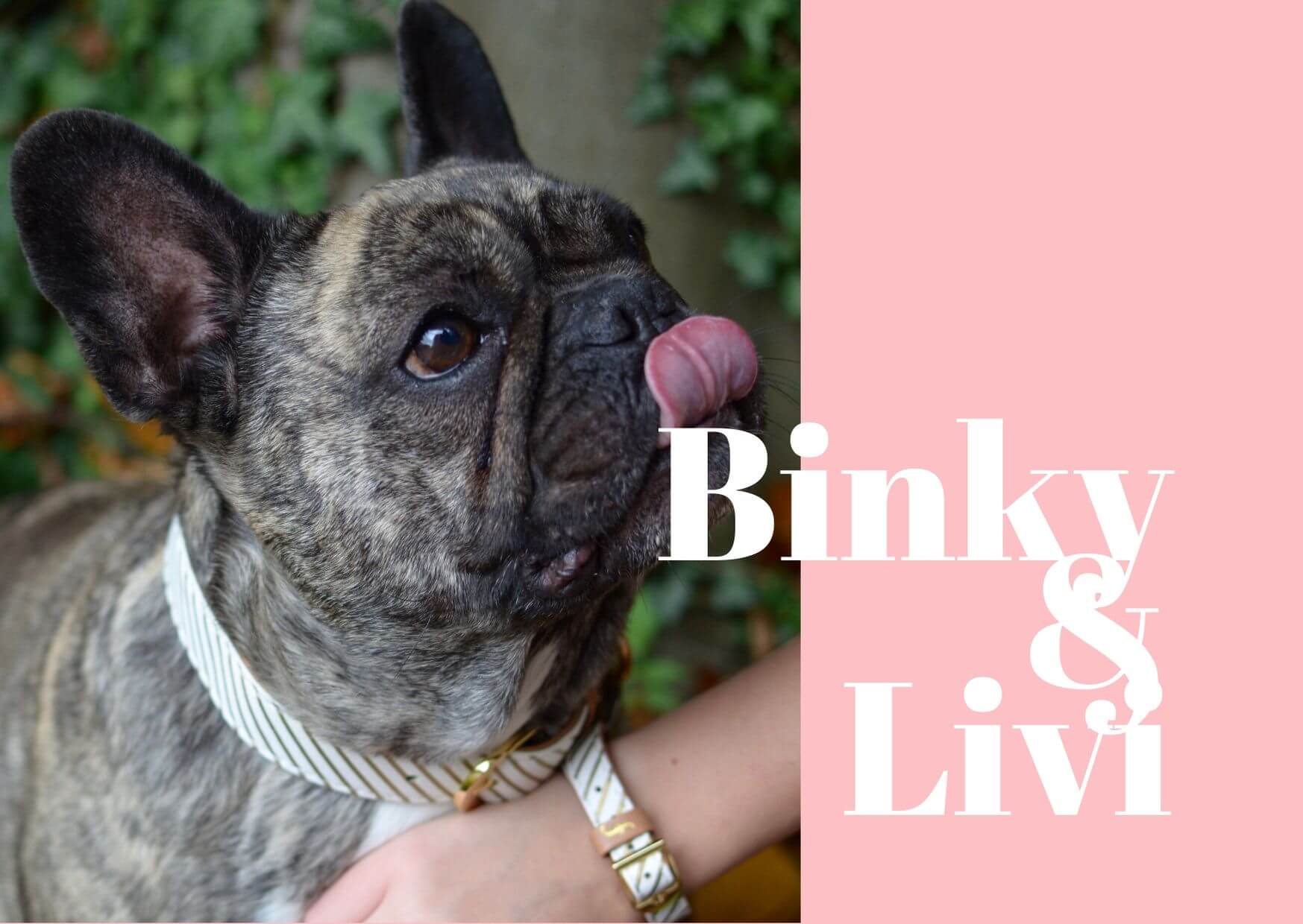 Livi & Binky