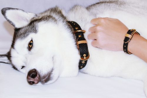 Nancy & Maska
