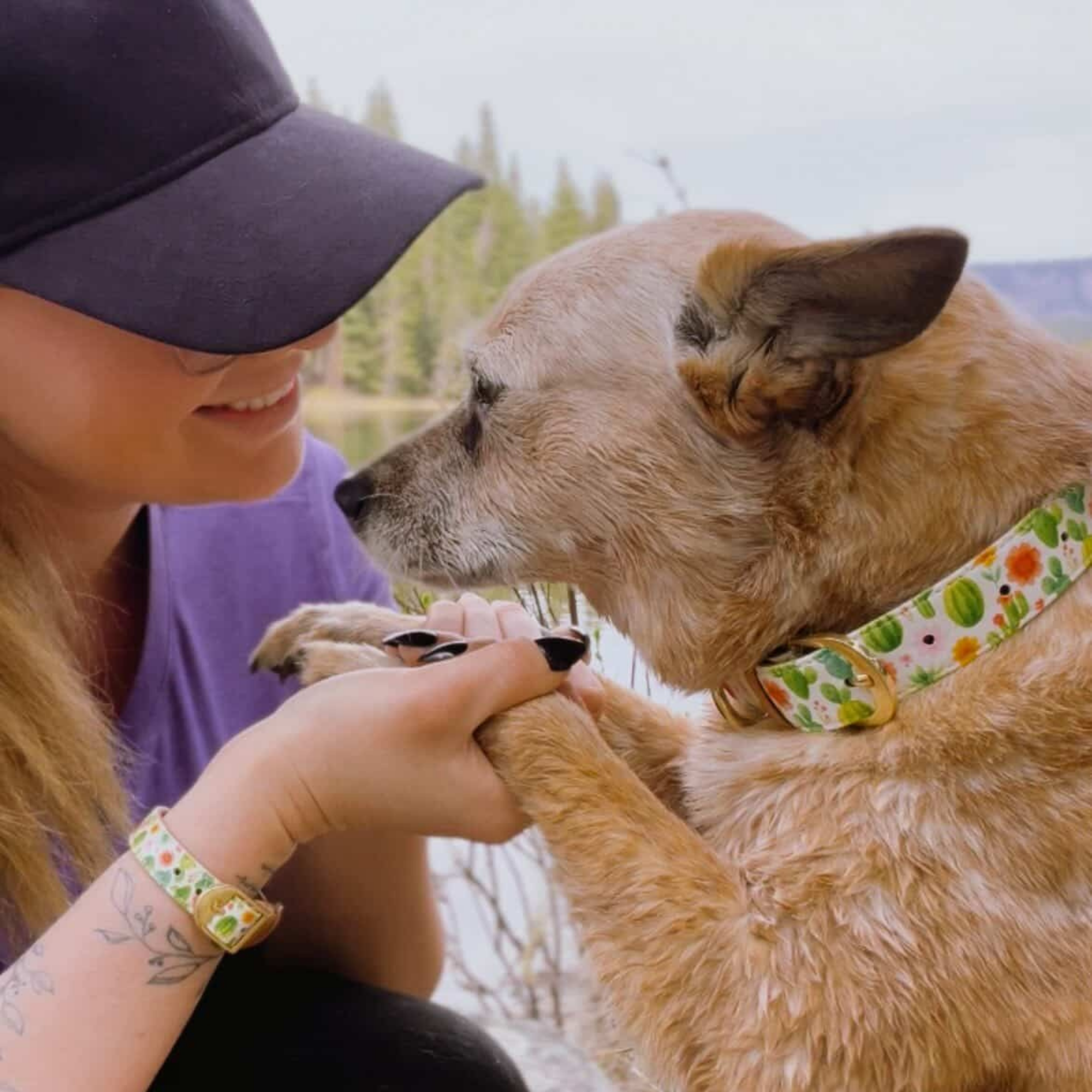 Meet Penny: The Dog Who Chose Me