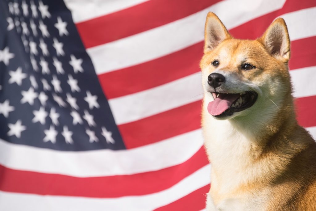 The Real Presidential Pups!