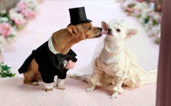 The Real Royal Weddings!