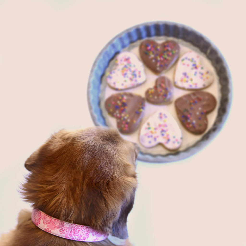 Valentines Cookies for your bestie!