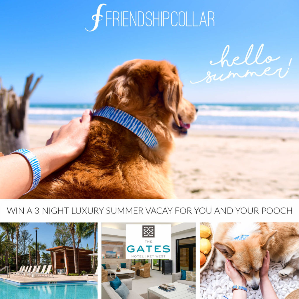 WIN A VACAY!