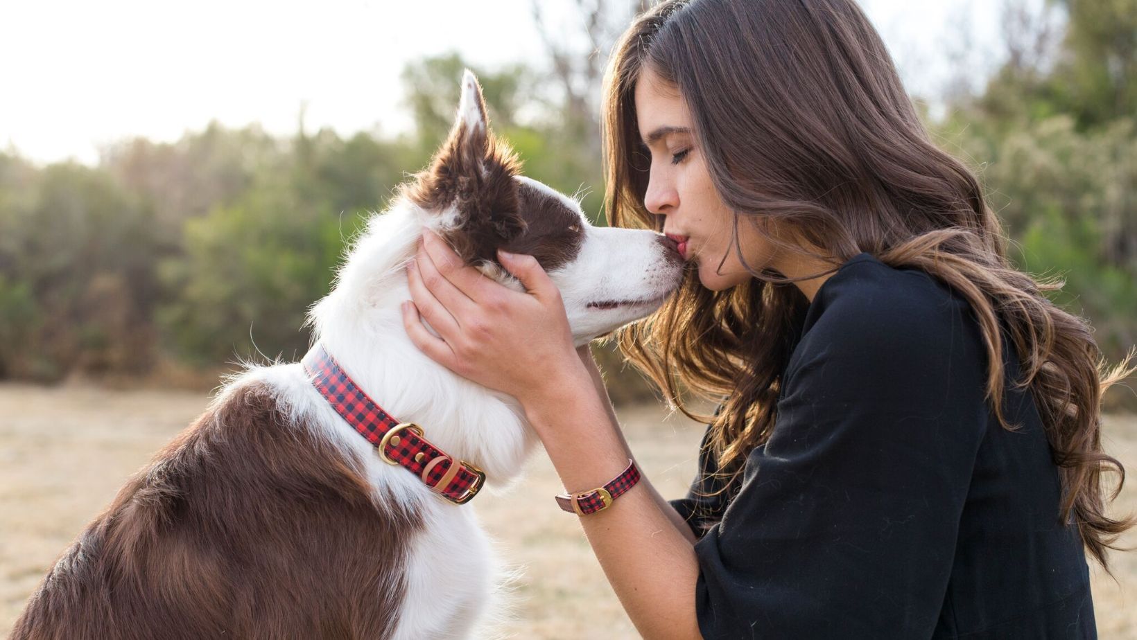 7 Hilarious Things Only Dog Owners Understand
