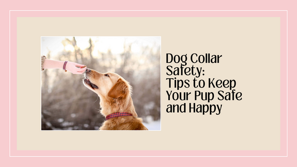 Dog Collar Safety: Tips to Keep Your Pup Safe and Happy