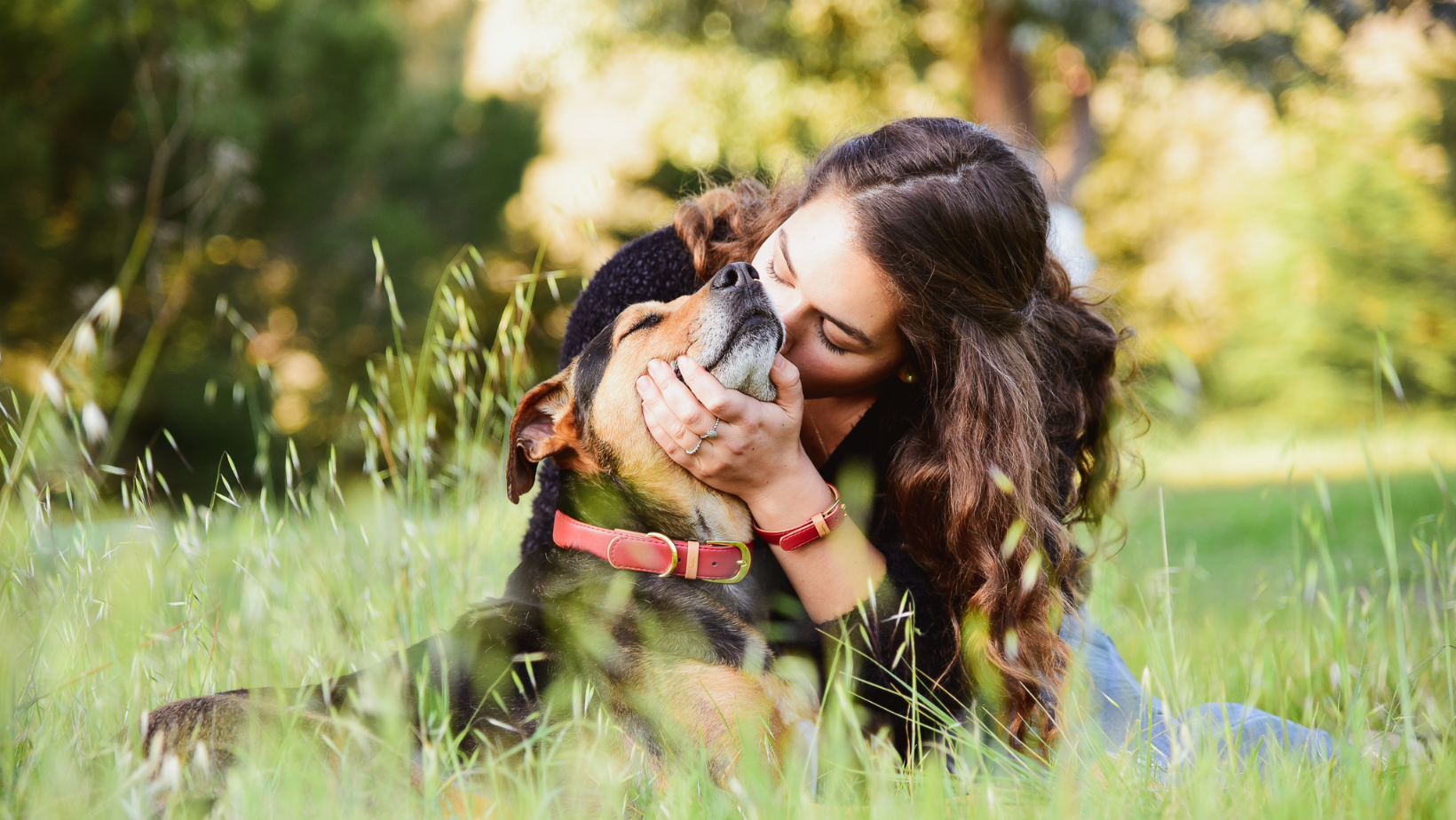 🌿 Why Do Dogs Eat Grass? Unmasking the Leafy Love Affair 🌿
