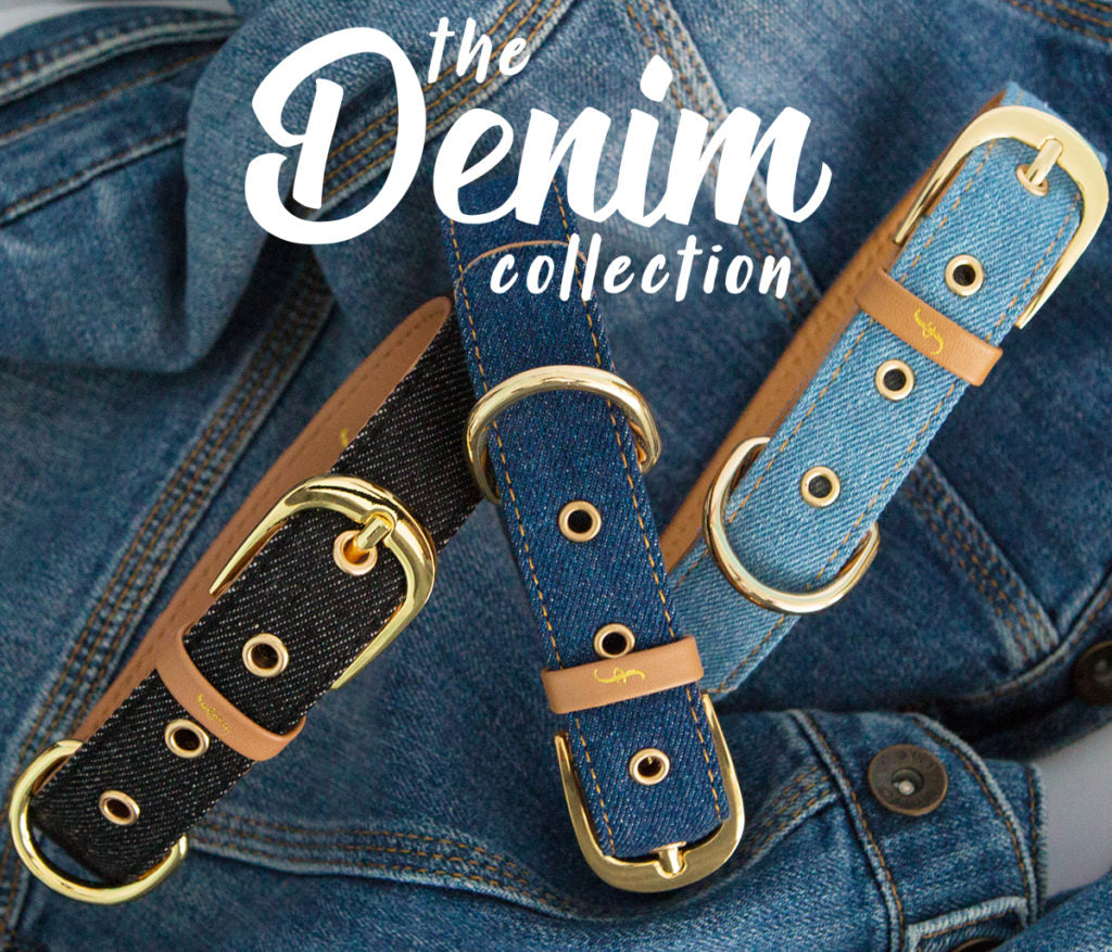 Dogs Deserve Denim!