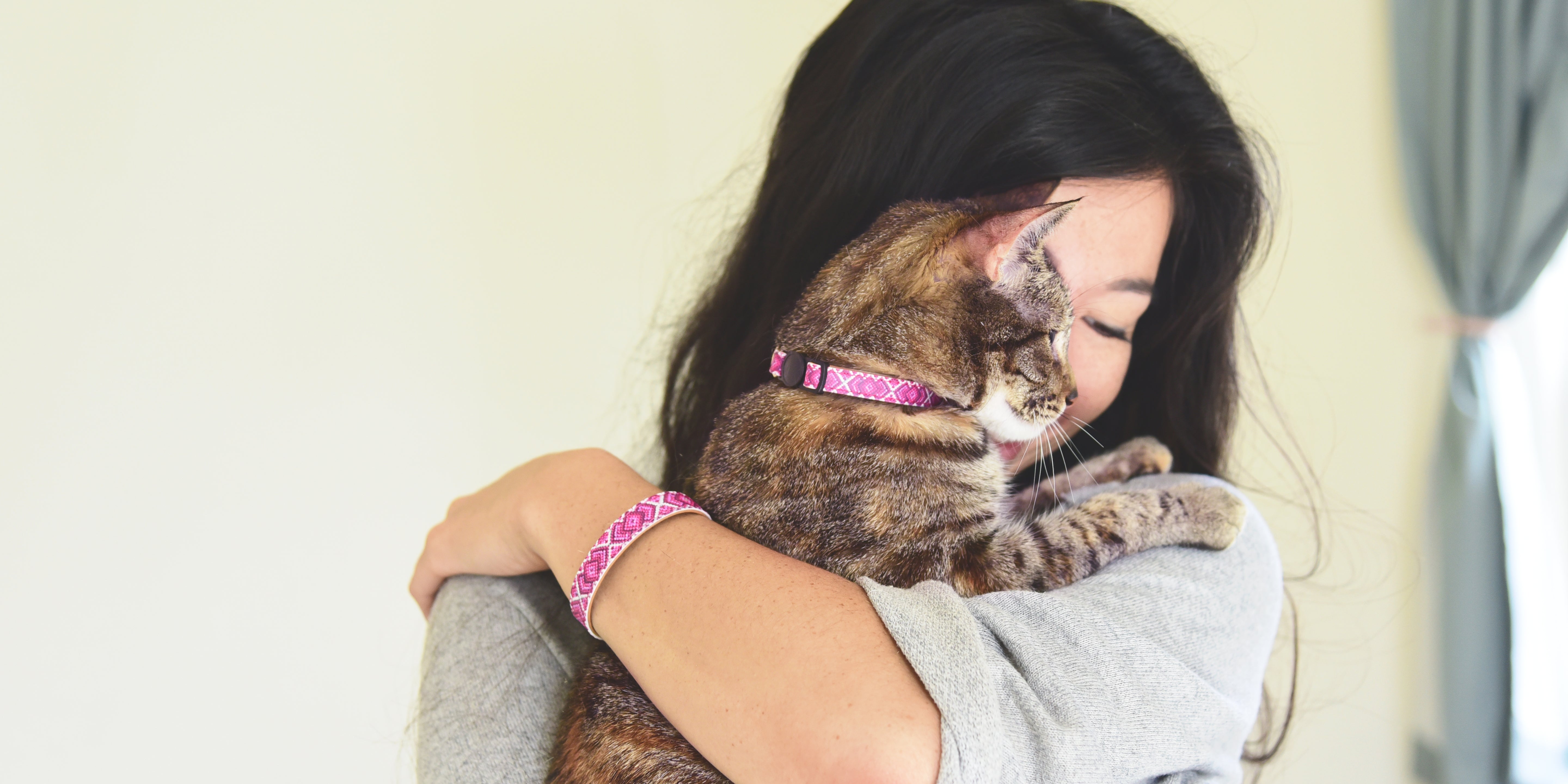 Creating a Safe and Enriching Environment for Your Feline Friend