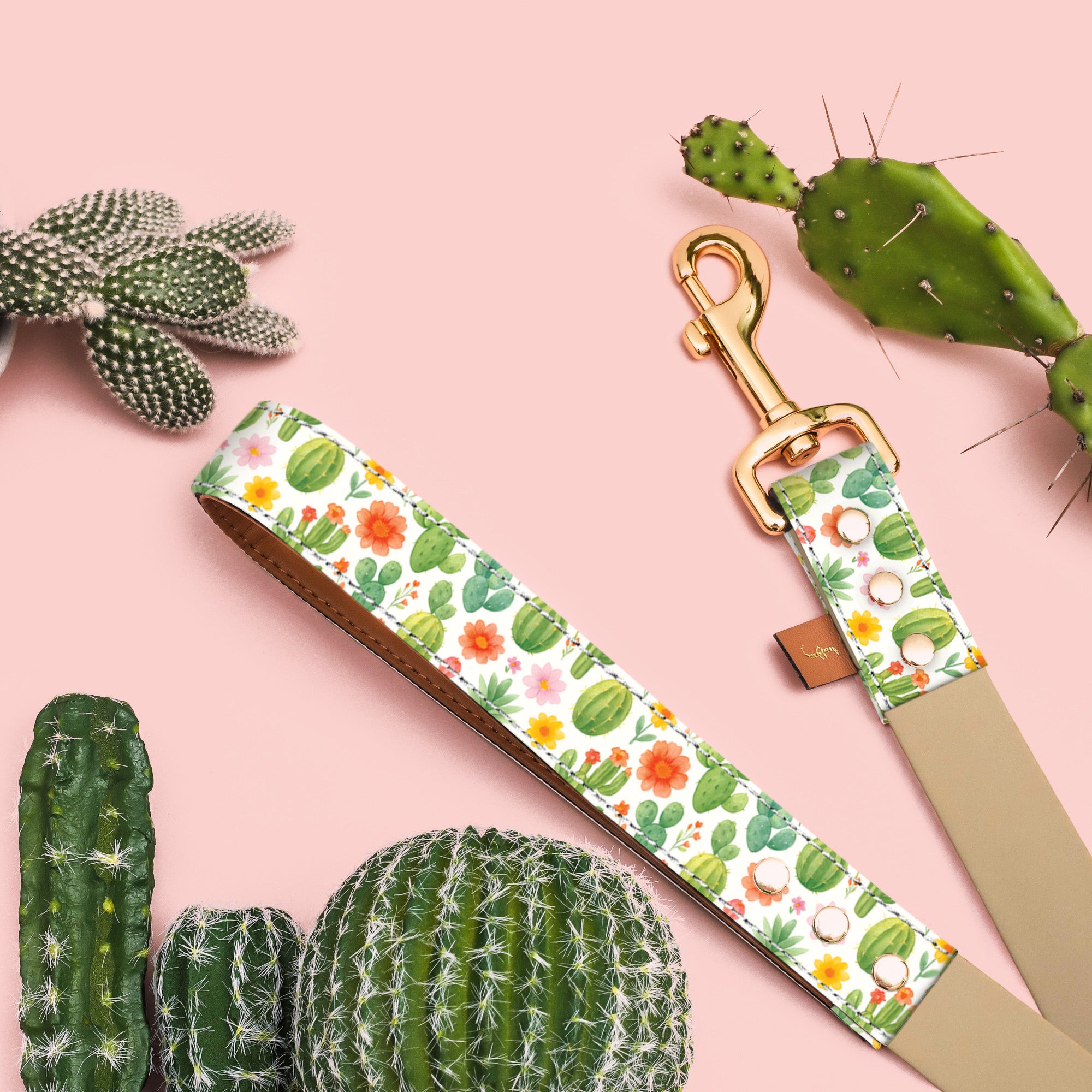 Cactus Cutie - 5ft Leash