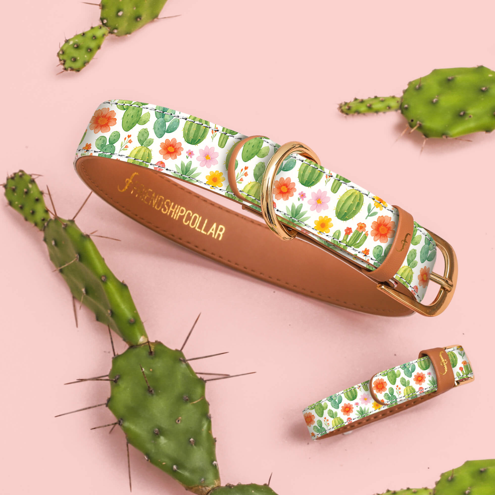 Cactus Cutie