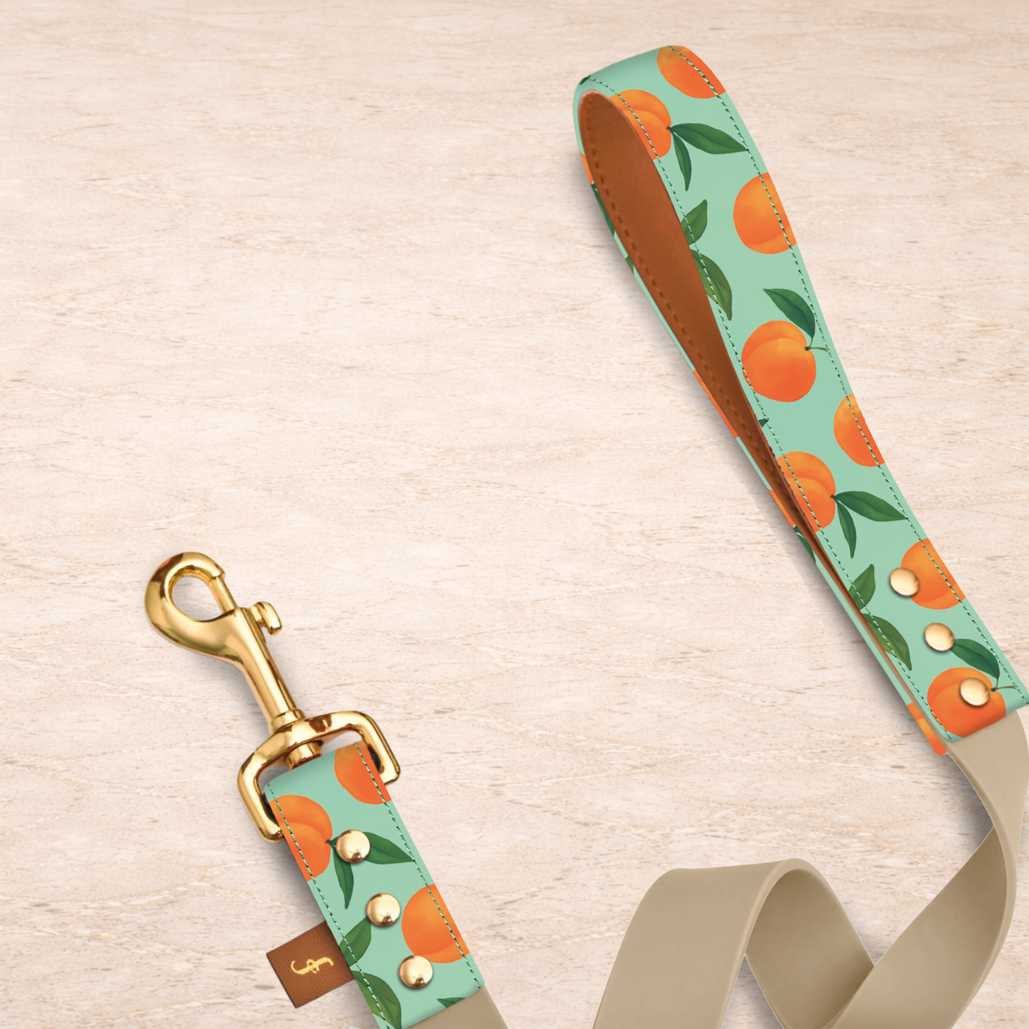 Just Peachy - 5ft Leash