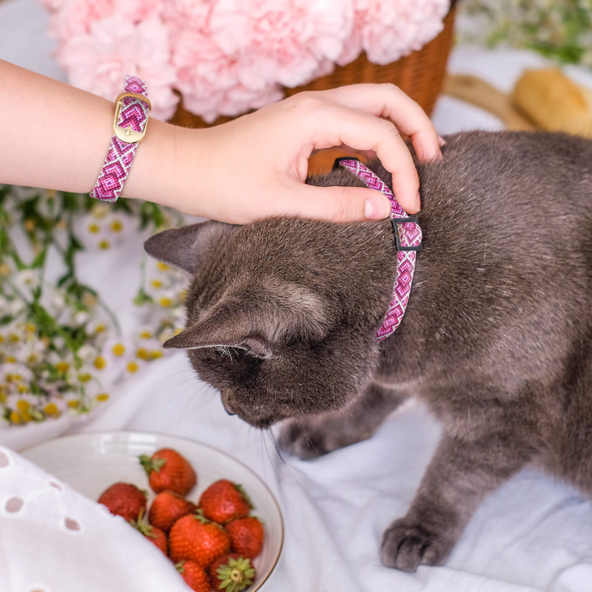 Miss Purrfect