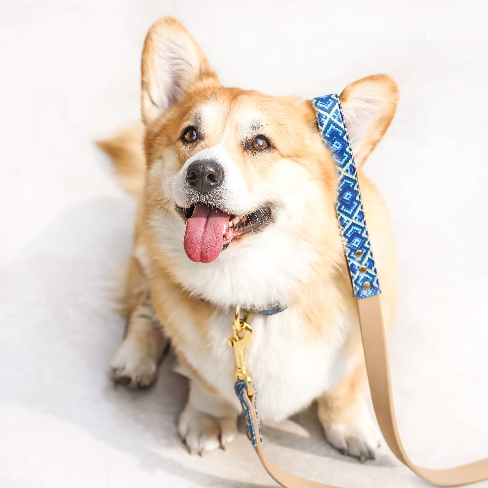The Mucky Pup - 5ft Leash