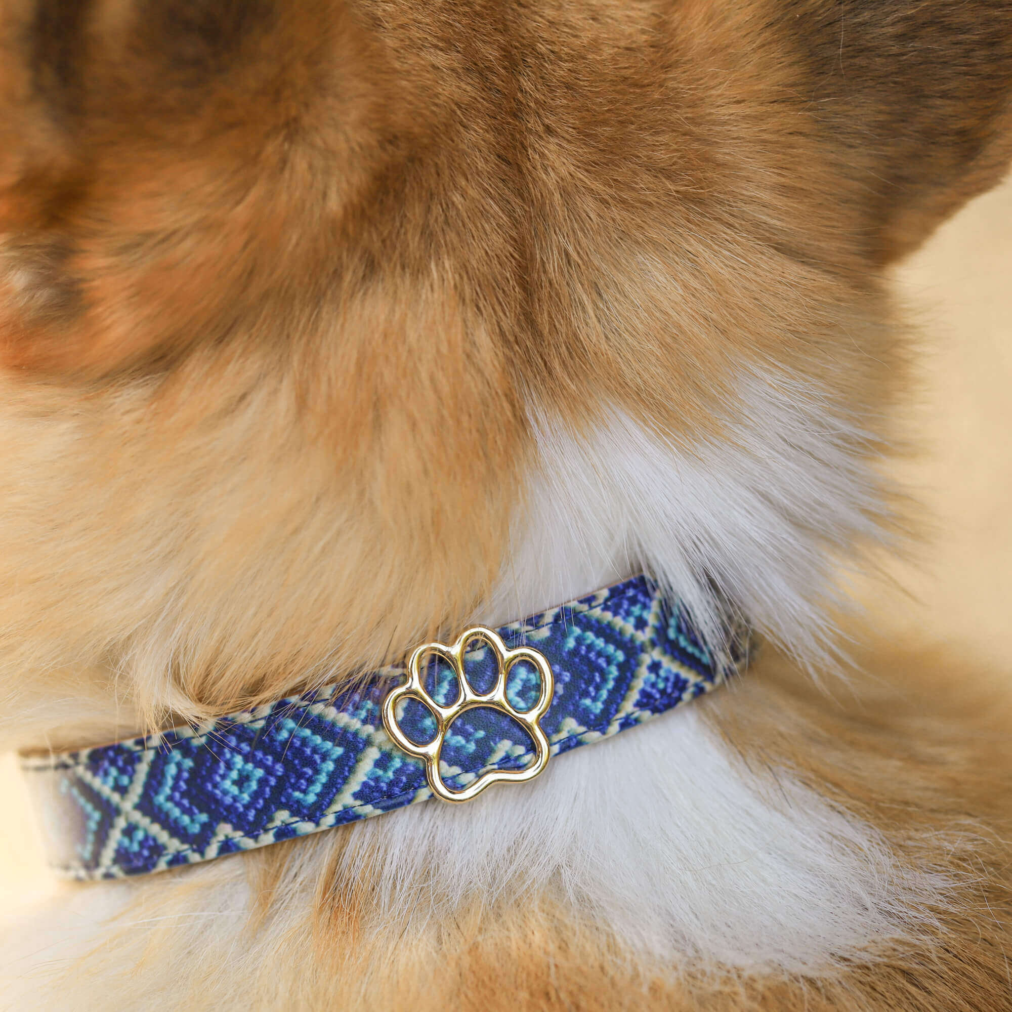 Bestie Paw Matching Charm Set