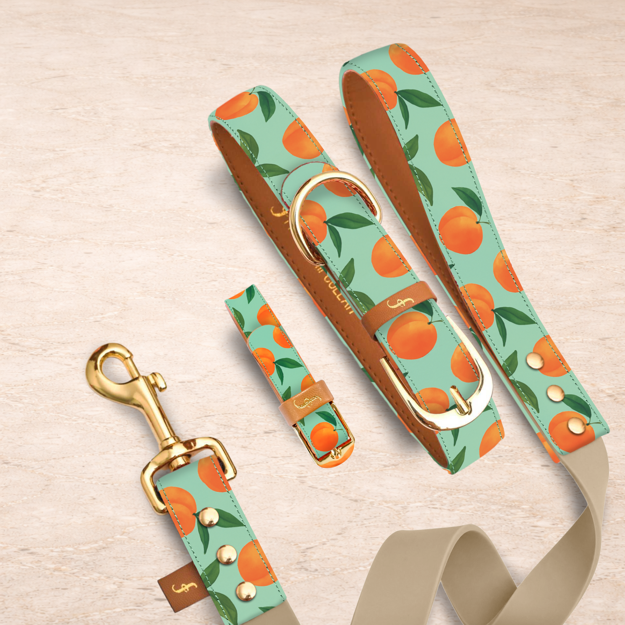 Just Peachy - 5ft Leash