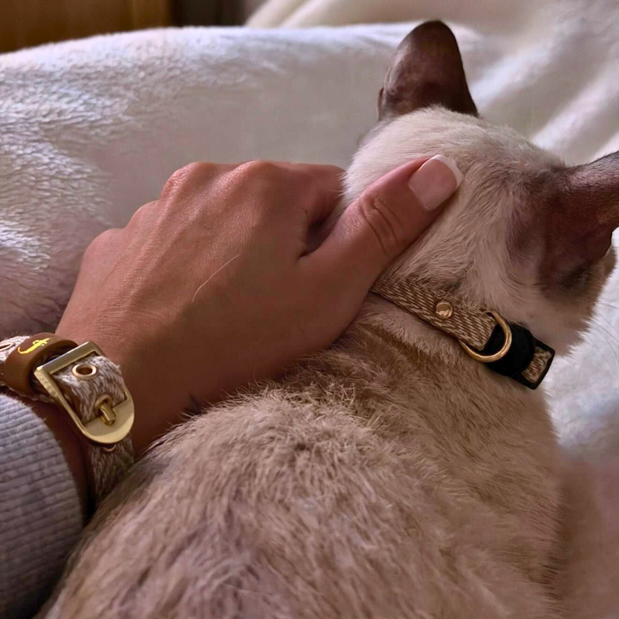 Herringbone Classic - Sand Dune - Cat