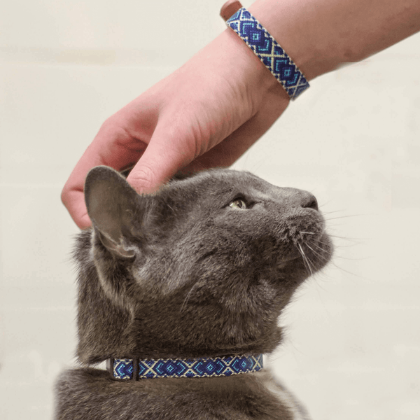 Cat collar best sale with friendship bracelet