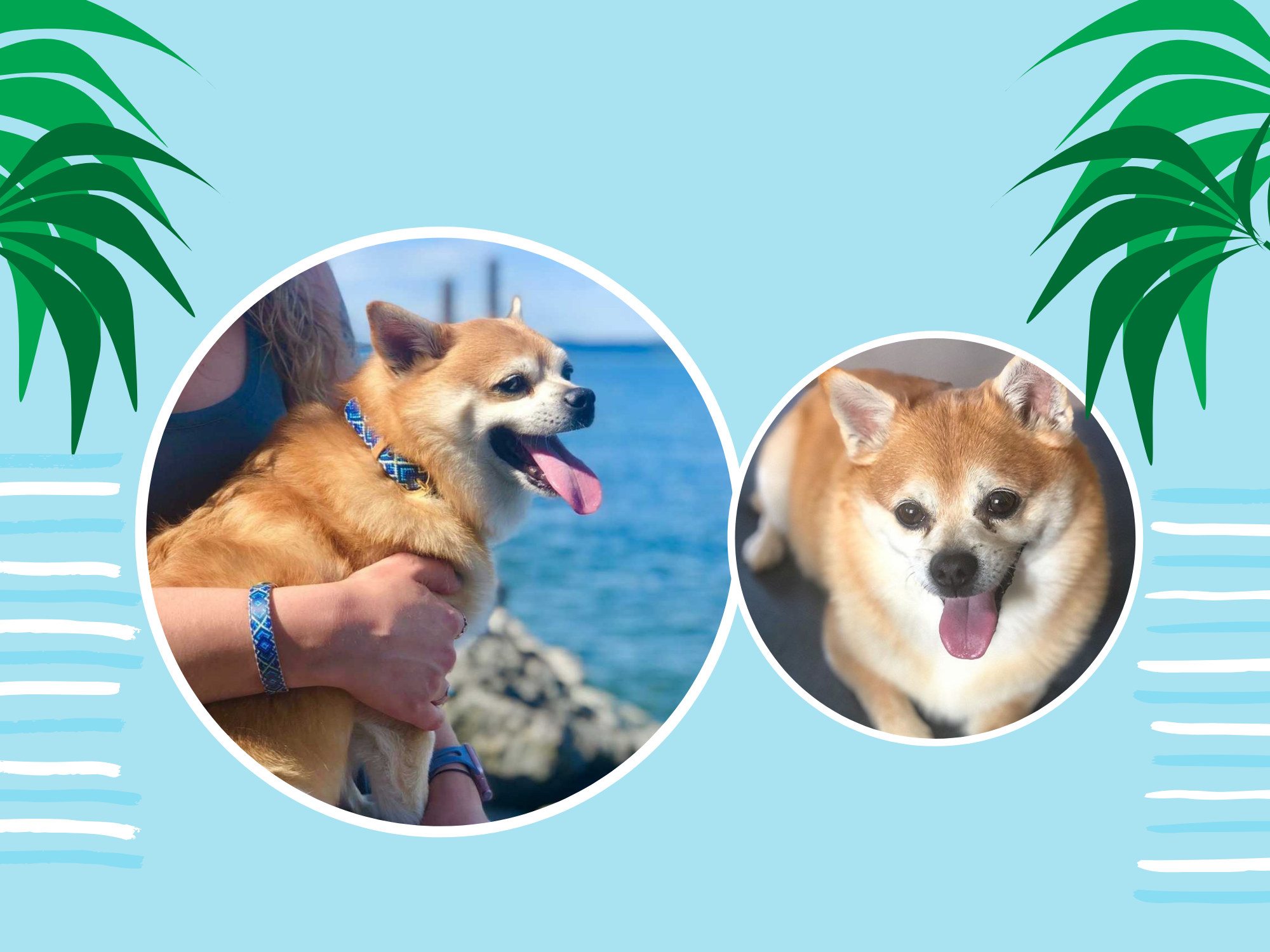 Best friends: Lauren and Beaujo
