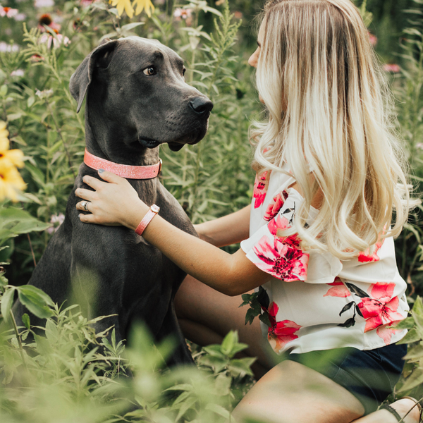 Matching Dog and Owner Collars A Fun Trend for Pet Lovers FriendshipCollar