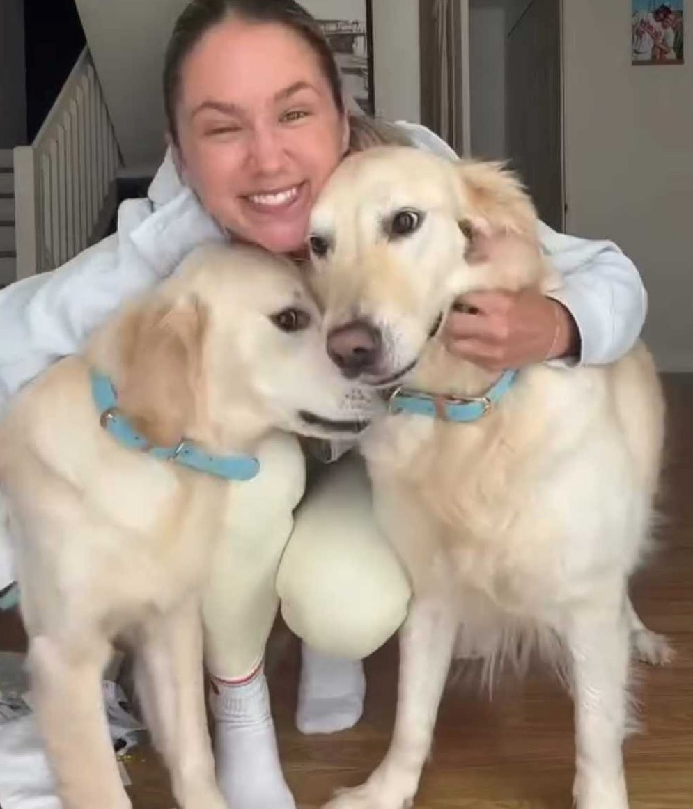 Life in the Golden Sandwich. Dani, Gracie & Chino 🐾