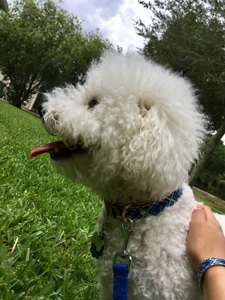 Furball & Caroline