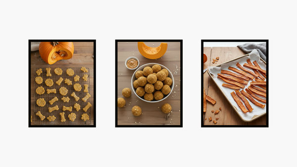 Homemade Dog Treat Recipes For Fall