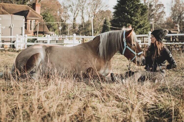 Lucy & Tao