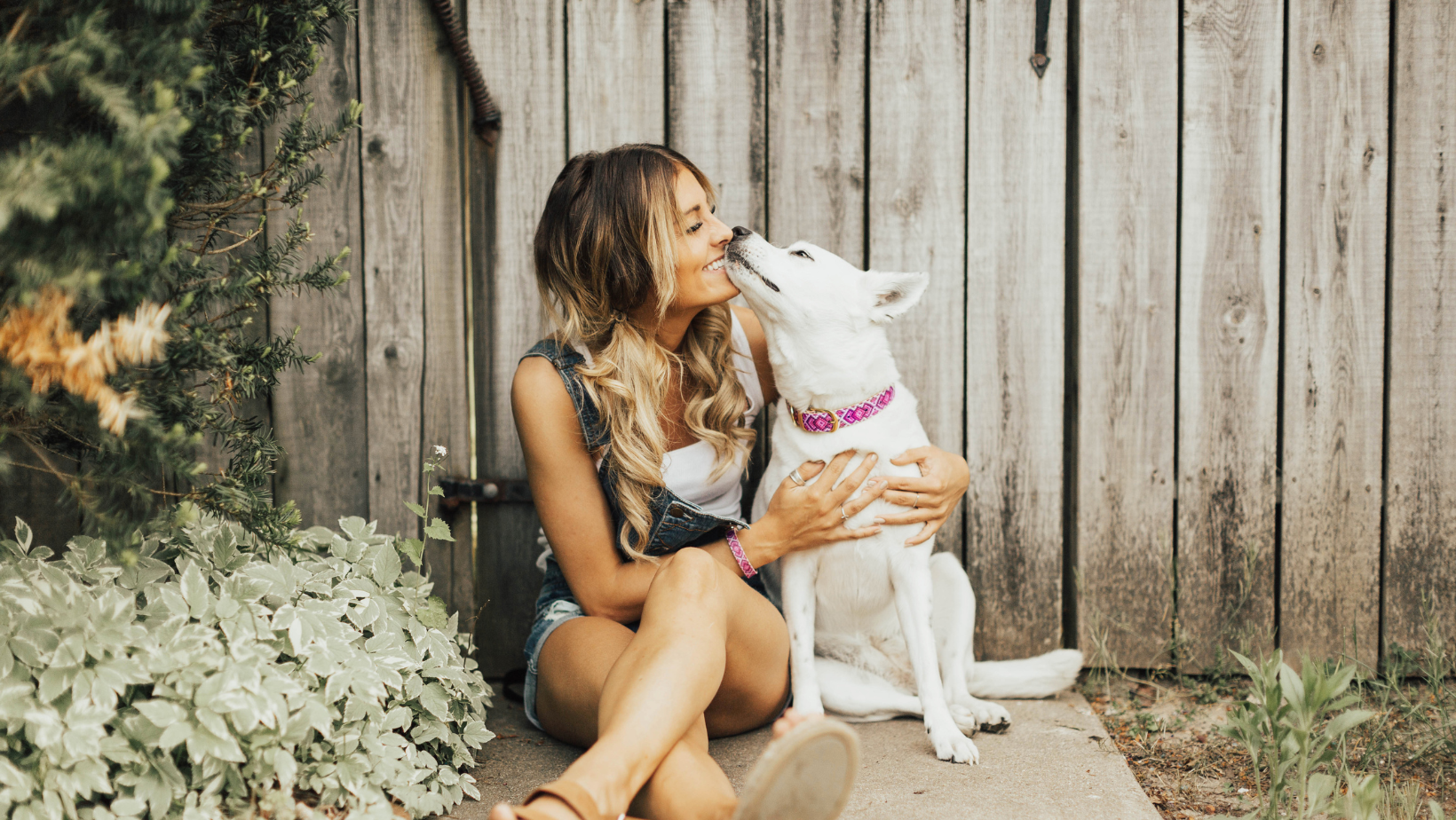 The Importance of Dog Grooming: Keeping Your Canine Companion Healthy and Happy