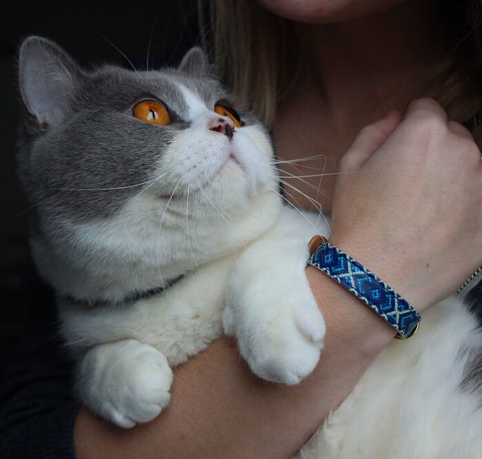 Koda & Lauri