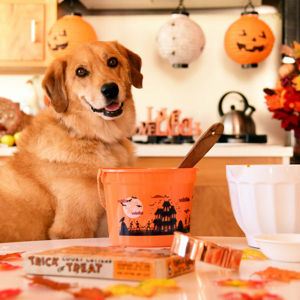 Pumpkin Cookies For Your Pup-kin!