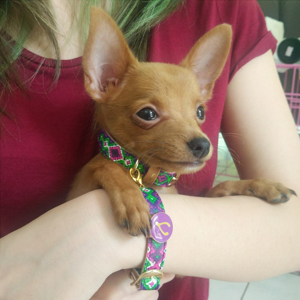 Louie