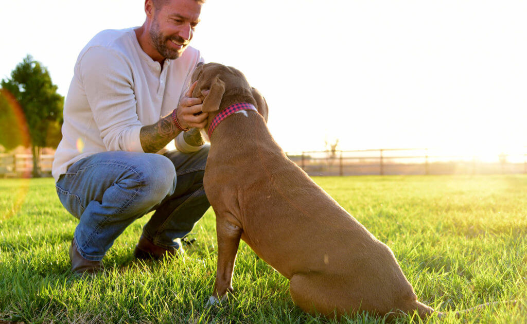 Could one of these dogs be your new BFF?