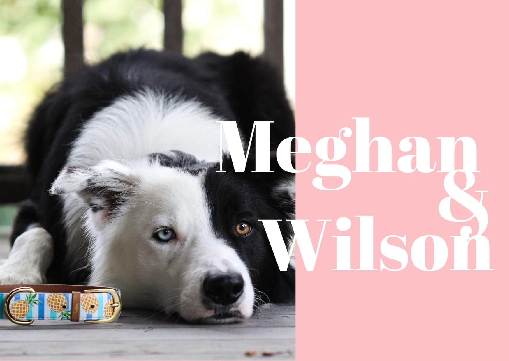 Meghan & Wilson