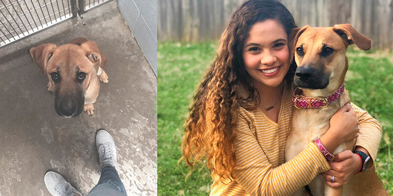 Paisley & Ana