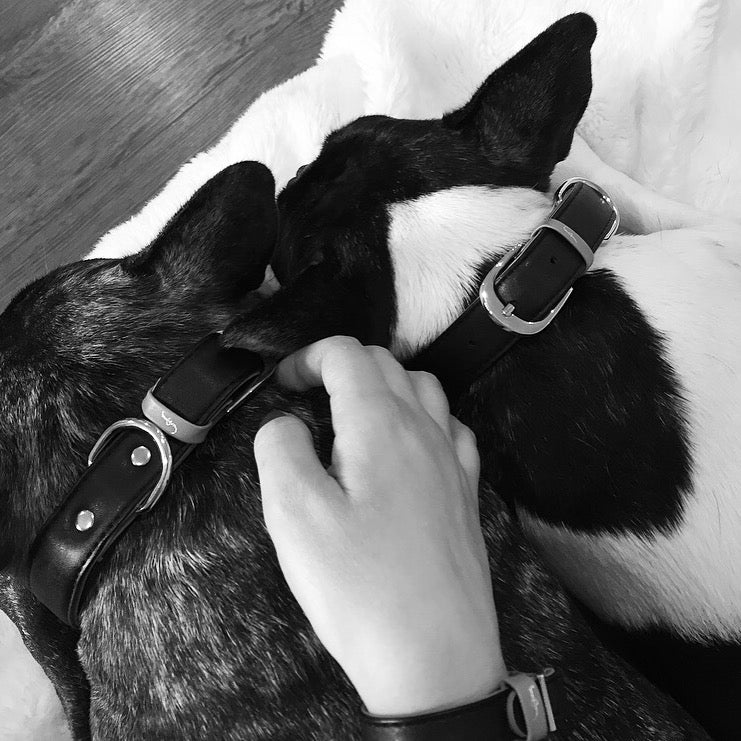 Pierre and Remy