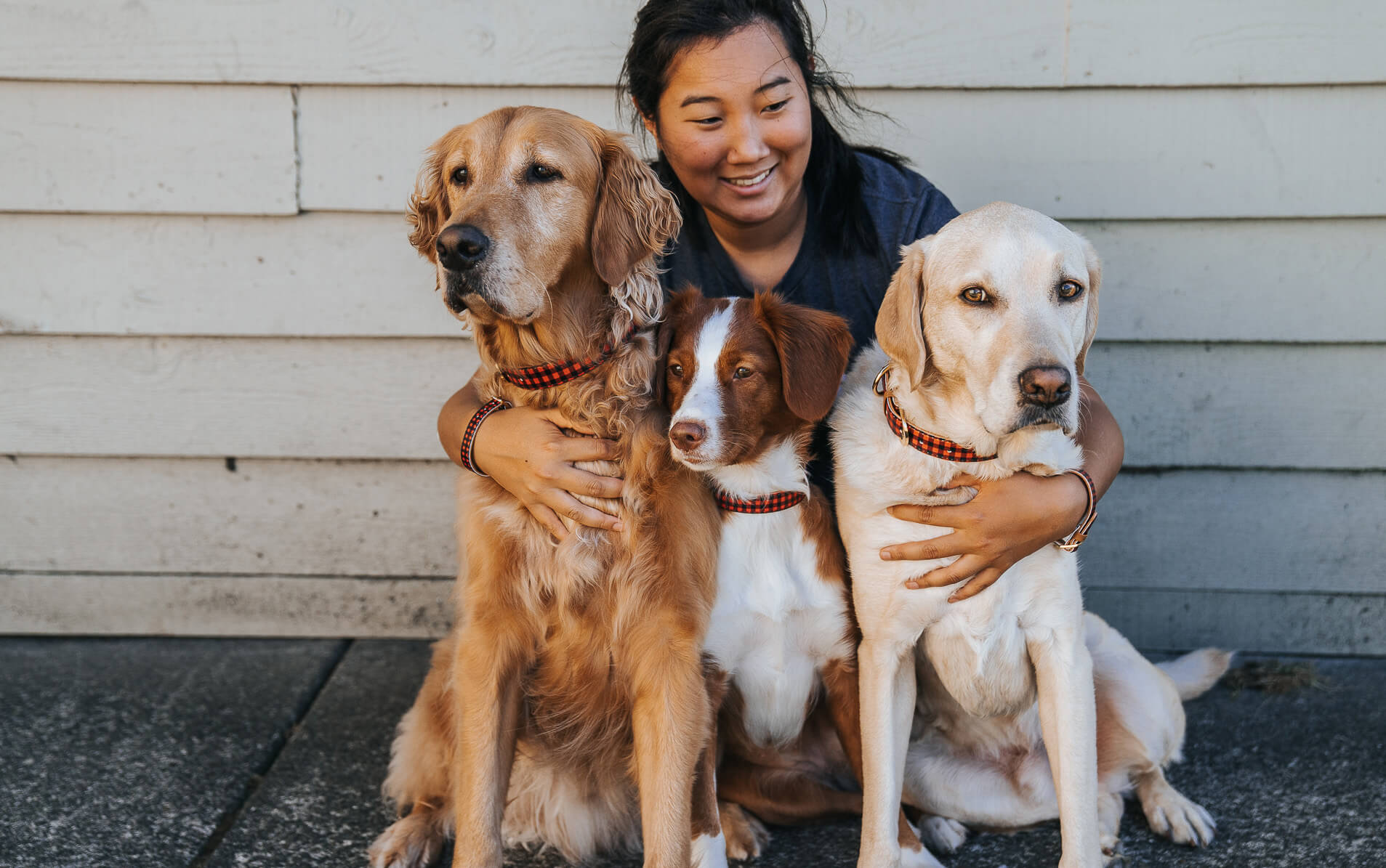 Hana, Gumbo, Aslan & Maple