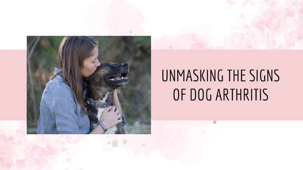 Is Your Furry Friend Hiding Their Aches? Unmasking the Signs of Dog Arthritis