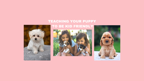 Teaching Your Puppy To Be Kid Friendly