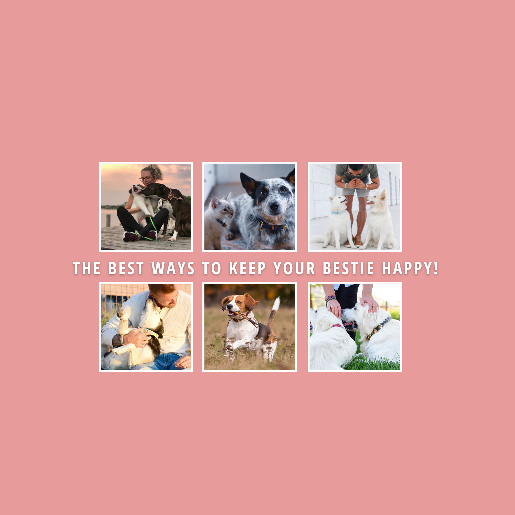 The best ways to keep your bestie happy!
