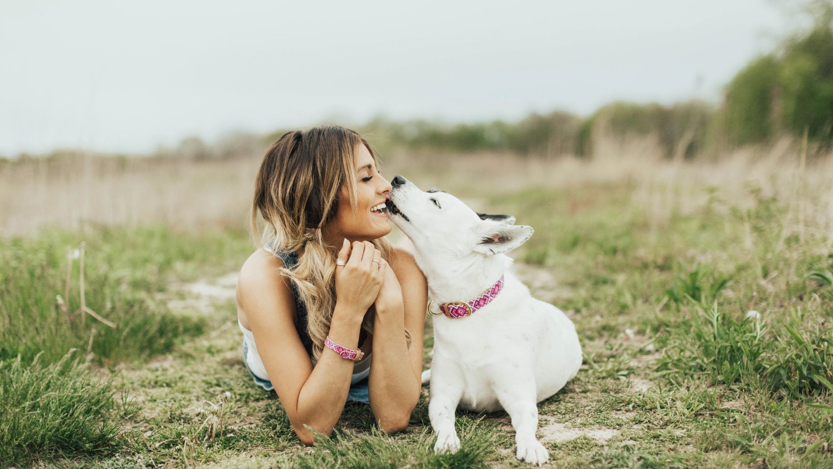 Dogs: Love and Loyalty