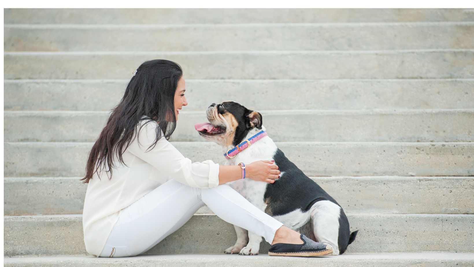 🛠️ Pet-Friendly Home Improvements: Make Your Home Safe & Stylish for Pets! 🐾